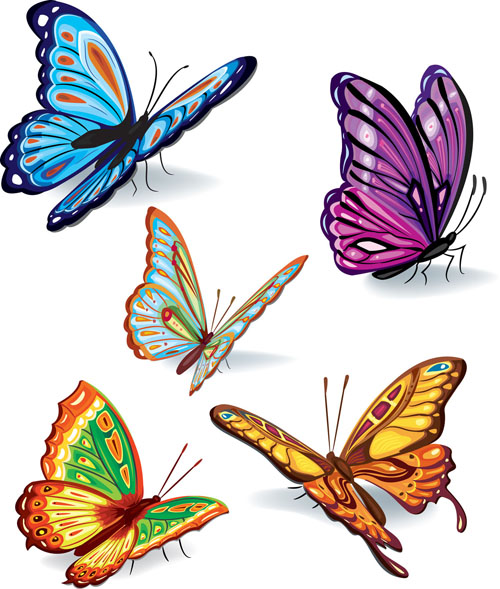 free vector Butterflies vector